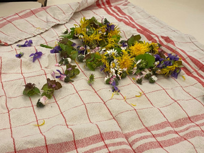 Salade de fleurs