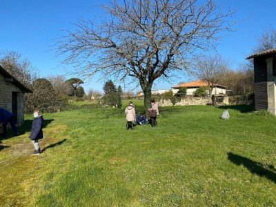 Un arbre au cœur du jardin