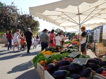 Photo du Marché d'Aigondigné