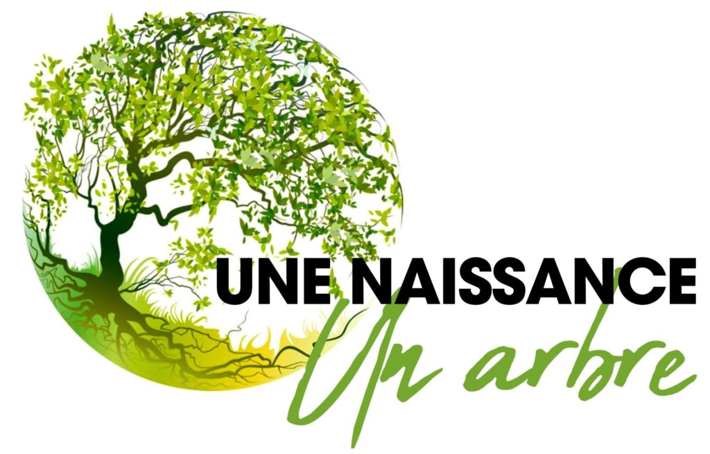 Une naissance un arbre