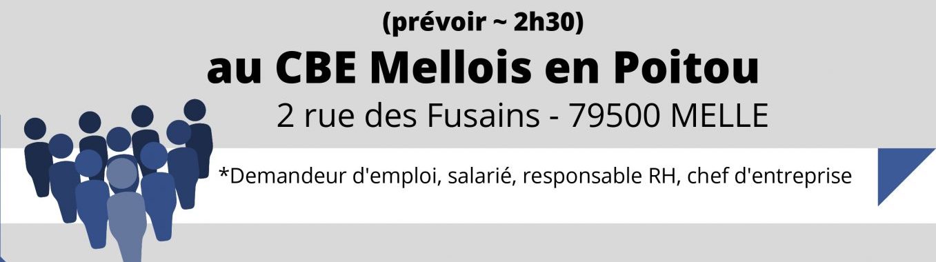 Affiche de l'atelier professionnel